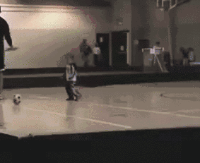 12.gif
